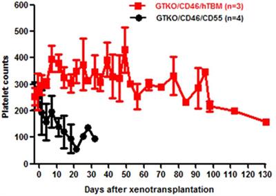 The Evolution of Immunosuppressive Therapy in Pig-to-Nonhuman Primate Organ Transplantation